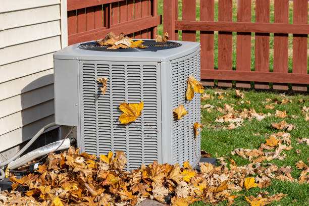 Best HVAC air duct cleaning  in North Alamo, TX